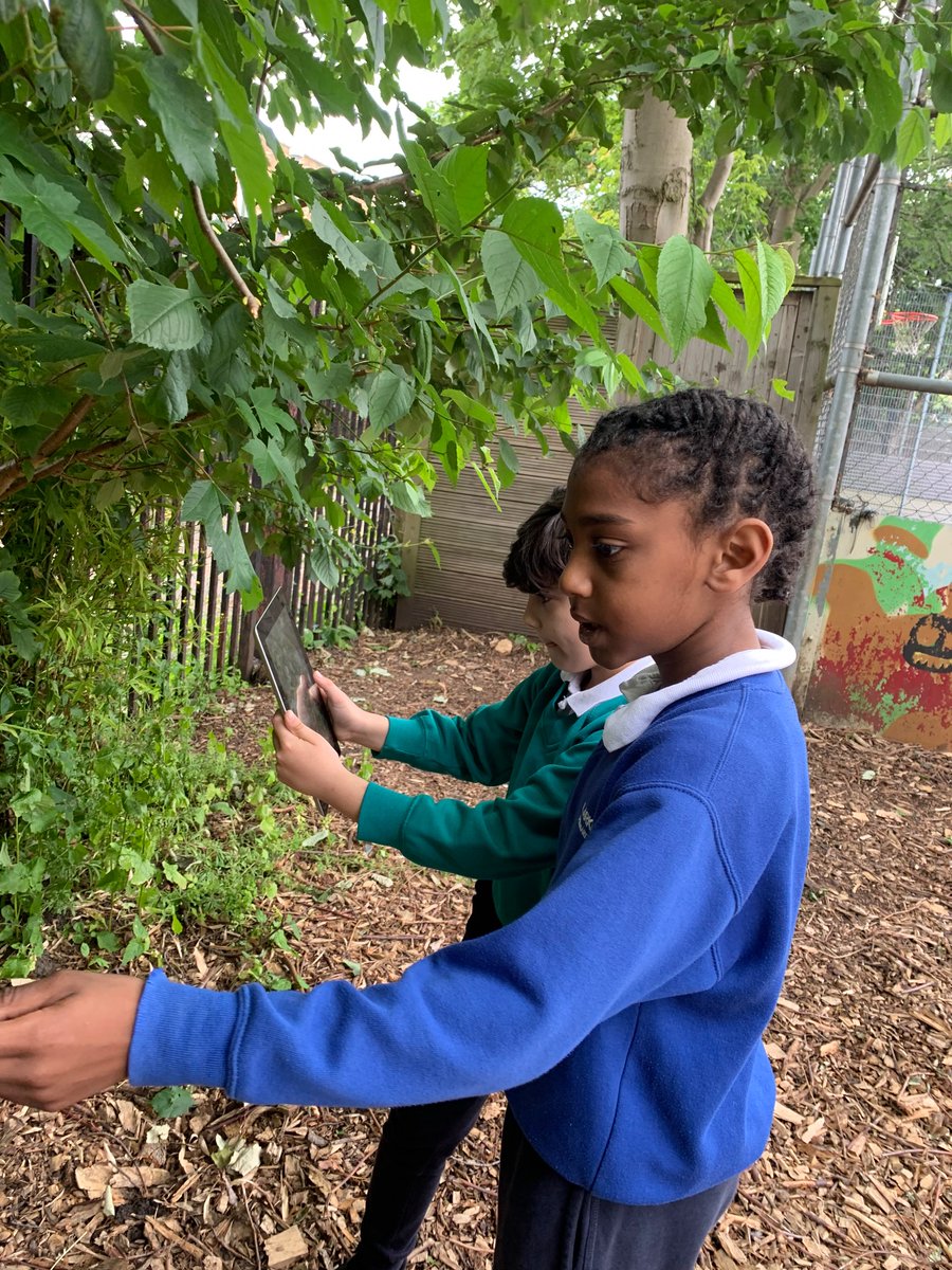 LarkHallPrimary's tweet photo. Year 4 took learning outside with a symmetry hunt in nature! πΏπ They explored the playground, finding beautiful examples of symmetry in leaves, flowers, and more. #outdoorlearning #lhmu #lhblp #larkalbert #lhbattersea https://t.co/RDsHDxrdBq