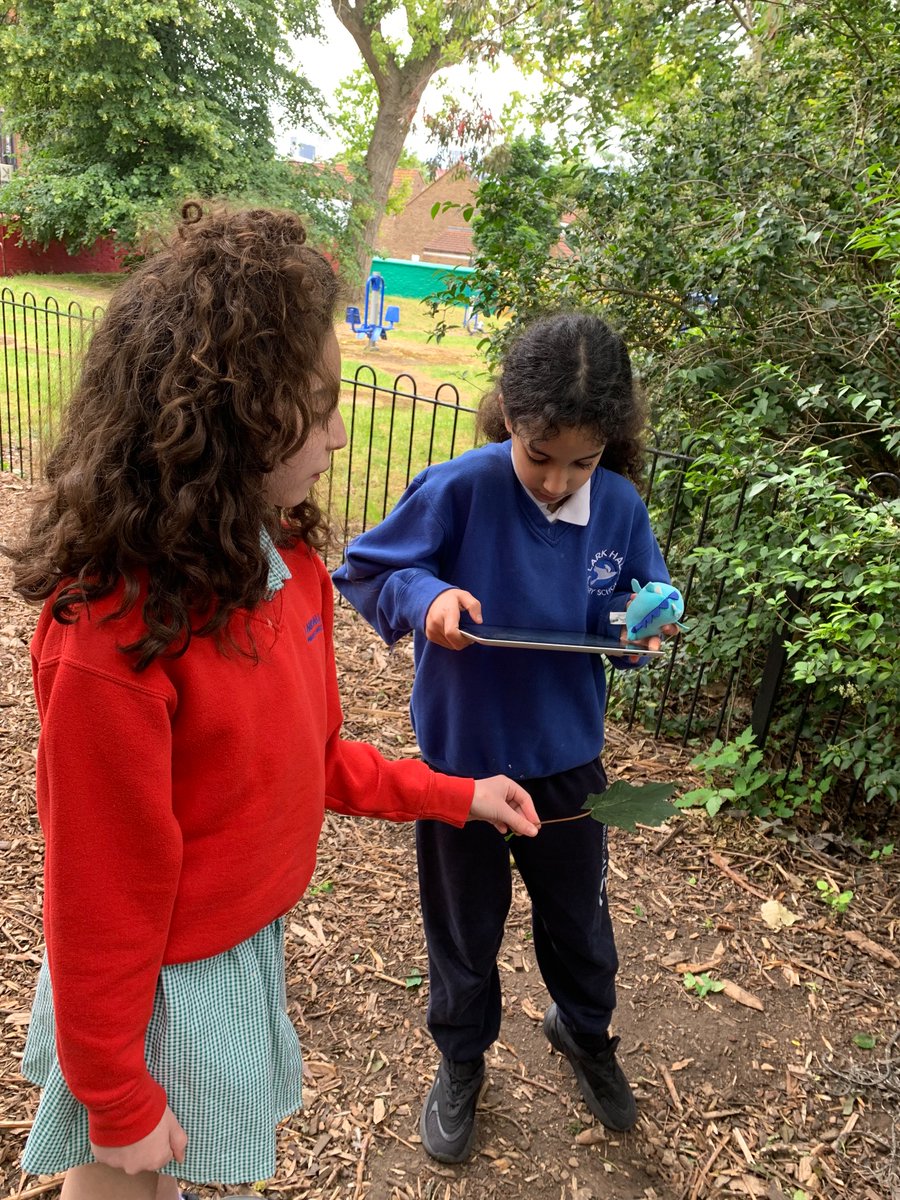LarkHallPrimary's tweet photo. Year 4 took learning outside with a symmetry hunt in nature! πΏπ They explored the playground, finding beautiful examples of symmetry in leaves, flowers, and more. #outdoorlearning #lhmu #lhblp #larkalbert #lhbattersea https://t.co/RDsHDxrdBq