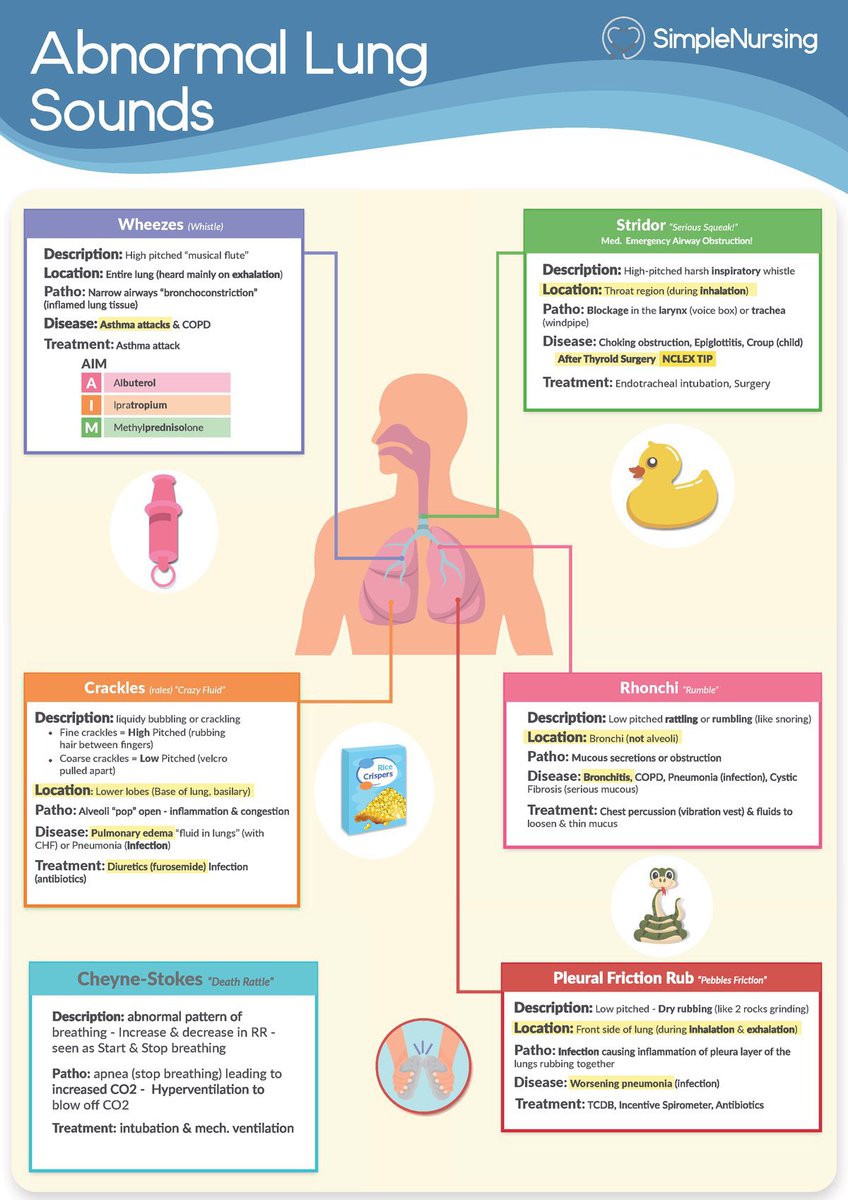 imedverse's tweet image. Lung Sounds

Via @Medical_MD1 #Meded #medx