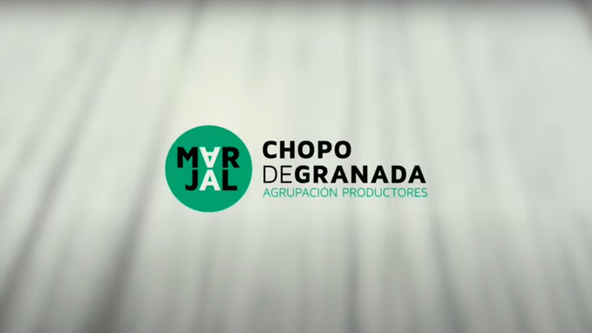 ✨Vídeo de presentación de la Agrupación #MARJAL🌳
#LIFEProgramme #LIFEproject

👇👇👇👇
youtu.be/UX9puu-Rtn0?si…