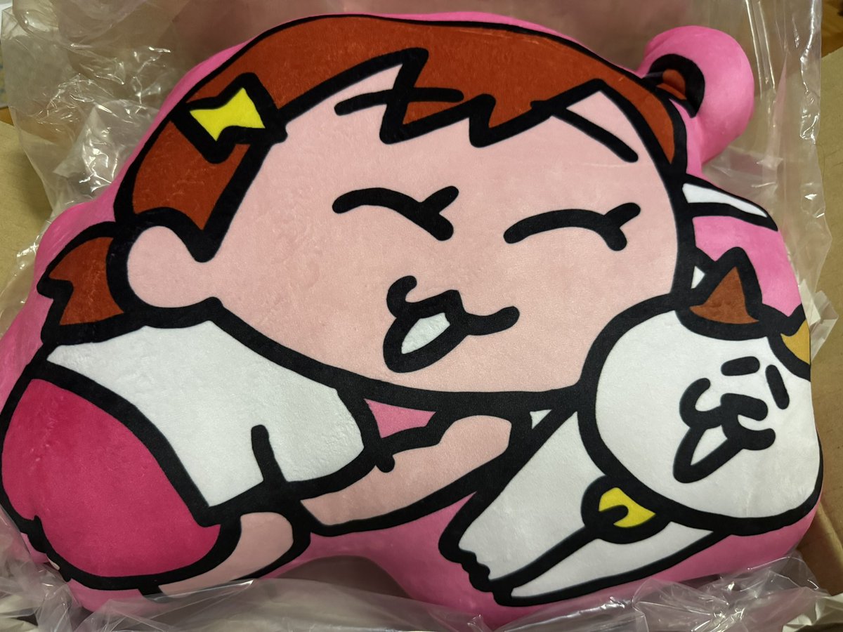 _summers1976's tweet photo. やっと届いた！！！！！！かわええ❤️
#ミーコさん
#ナミちゃん https://t.co/Dh214ZFUvd