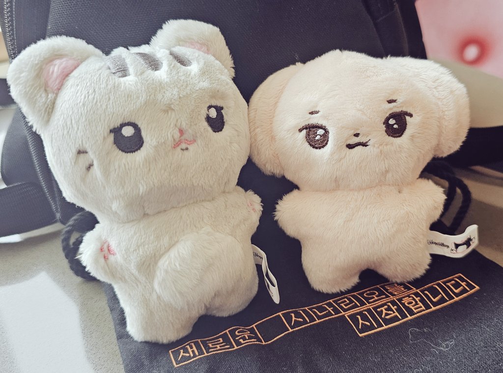 paullang0417's tweet photo. 선물받은 파우치 !
애기들 넣으니 딱이에요👍
사���즈 너무 좋고요~
@ppoya_0417 덕분에
섭냥이폴뭉이 
어디든 외롭지않게 함께 고고
@seop_catdoll10
@_paulmung2 https://t.co/1p3IA9zD8W