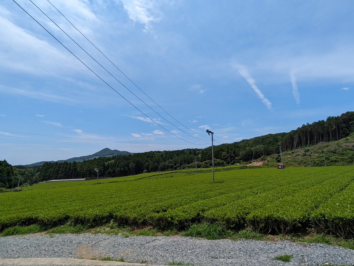 #3時のお茶大喜利
休憩中疲れが取れる意外な方法とは？

#茶畑
#大喜利 #お茶大喜利 #休憩に笑いを