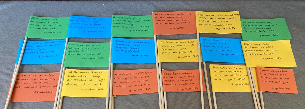 SymbNET's tweet image. Some of the verses of yesterday. Which one was your favorite?
#SymbNET2024