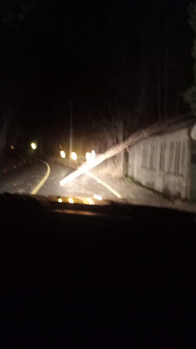 fdo2000's tweet photo. Al momento se informa de caída de árboles en Ruta G-25 Camino al Volcán sector San Alfonso en San José de Maipo, precaucion en el sector @biobio @chile_accidente @Louisvasquez23 @Pabl0Manzanares https://t.co/8XNUgnzxza