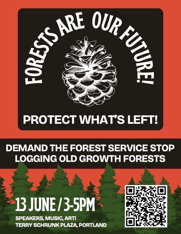 TreeSitUnion's tweet image. Support the demands of the tree sitters in southern Oregon and rally with us tomorrow in Portland.

 @BLMNational @DebHaalandNM @POTUS must immediately end mature and old growth logging on public land.

#WorthMoreStanding