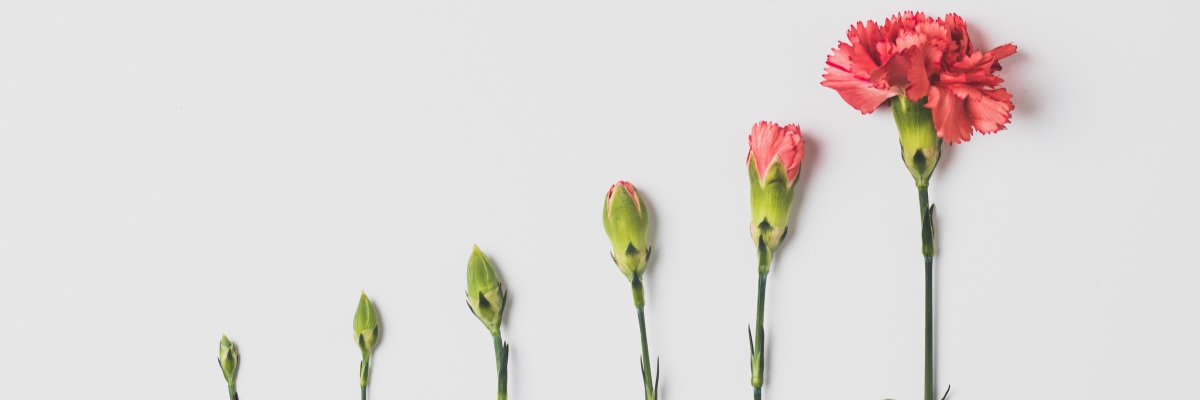 There’s still time for funders to join our Environmental Impact Investing Group (EIIG) – a free programme to help funders learn about environmental impact investing &amp; how to get started.

Learn more &amp; sign up here: greenfunders.org/environmental-…