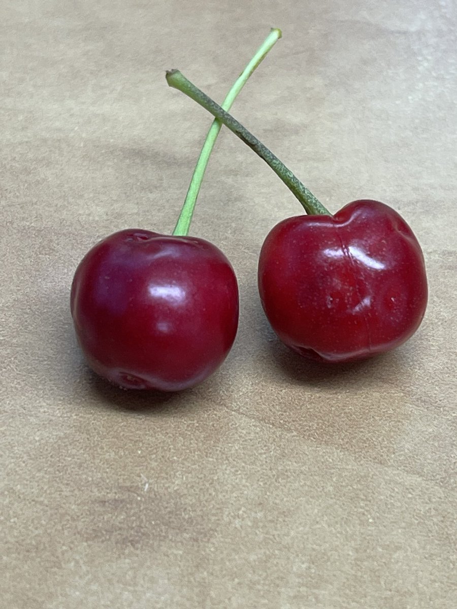 We’ve also had the first fruit from the trees we planted last year using the money donated from the village Christmas Window Trail. There was a lot of excitement for the cherries this morning!