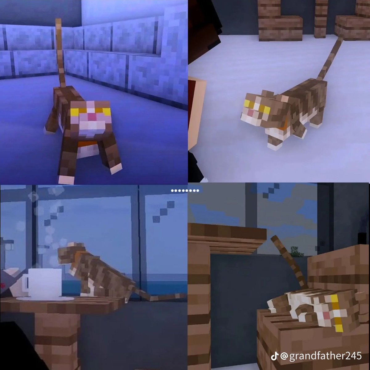 justbored_05's tweet photo. People think that LangxDin is a forgotten ship

What about the cat??? https://t.co/o4GBWnPOX5