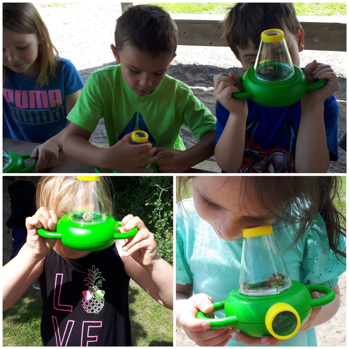 Finding and examining different insects and plants around the school yard with Ms Bagnall today!!! #PVNCBeingcreative #PVNCBeingwell #PVNCBeingcommunity
