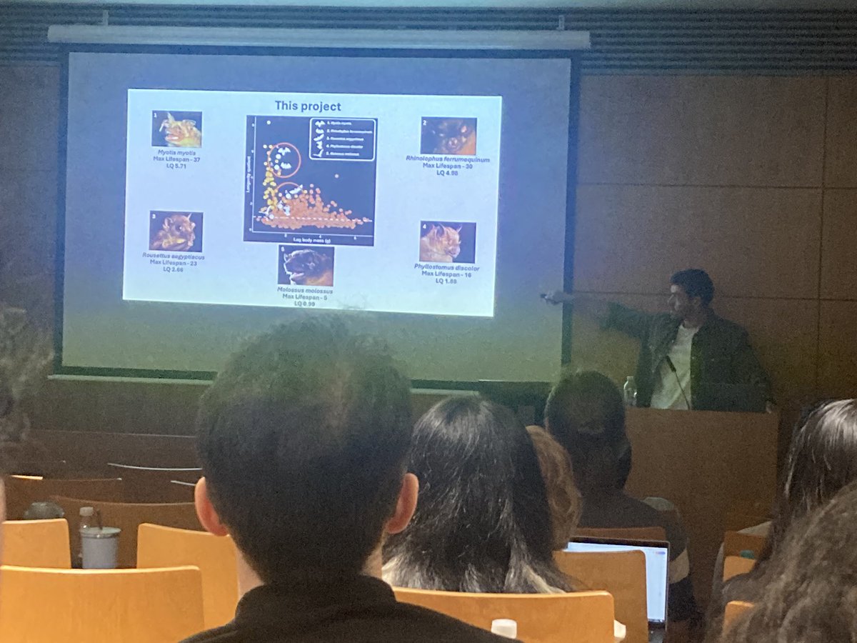 MeganPower101's tweet photo. He’s all grown 🥹 super proud as always @TadhgLonergan talking about his research in #telomeres of #bats of varying longevities at the @UCDSBES postgrad seminar day!!! https://t.co/JP6zOq9aIi
