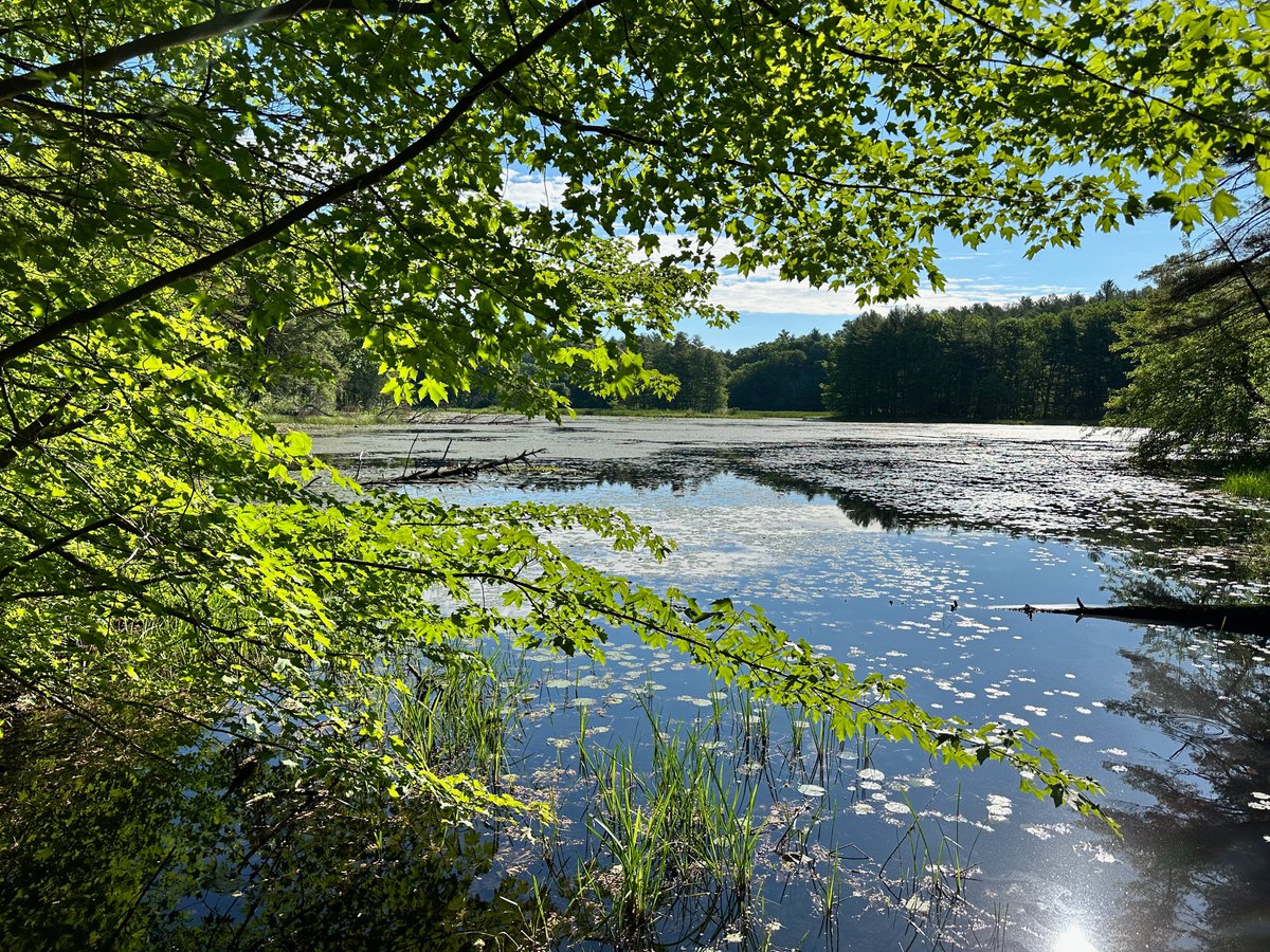 Adrienne Lain tweet media