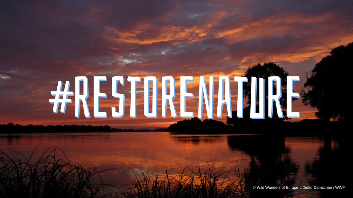 RecFishingEP (@recfishingep) on Twitter photo Restoring nature isn't just an option. It's our responsibility!🙎♂️
<a href="/EUCouncil/">EU Council</a>, you must make the right choice for our planet. We need a Nature Restoration Law now.
On Monday 17th, all eyes are on you, #ENVI👀 #RestoreNature Restoring nature isn't just an option. It's our responsibility!🙎♂️
<a href="/EUCouncil/">EU Council</a>, you must make the right choice for our planet. We need a Nature Restoration Law now.
On Monday 17th, all eyes are on you, #ENVI👀 #RestoreNature