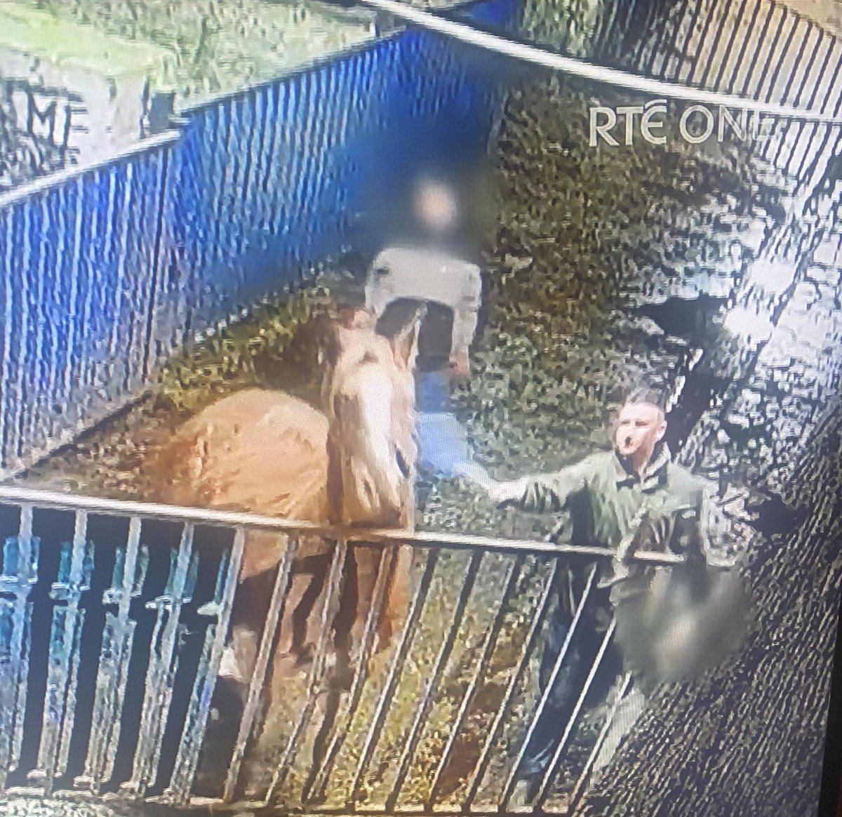 Catríona Lowry tweet media