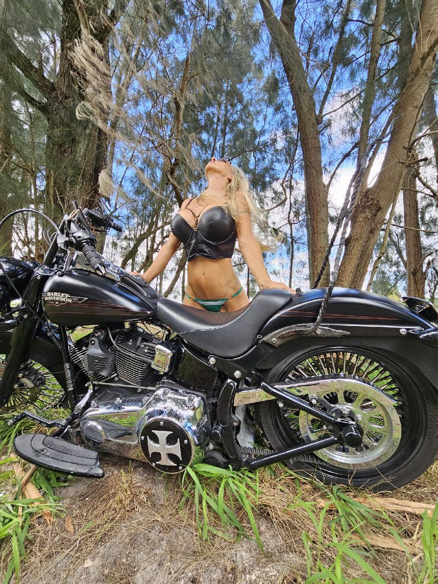 Flyingponytail's tweet photo. Pine forest fun!
#photoshoot #fun #privatedrive #motorcyclemodel #snakesinthegrass #watchyourstep https://t.co/X2YMFeZ6t0