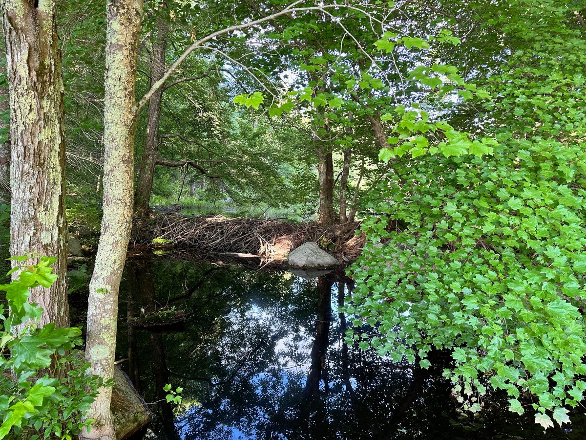 Adrienne Lain tweet media