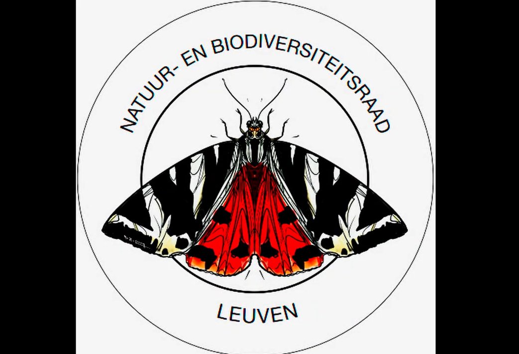 Ken jij de Leuvense Natuur- en Biodiversiteitsraad al? 🐞🌳

Maak kennis via dit filmpje, en laat gerust iets weten indien je interesse hebt om aan te sluiten! 

youtube.com/watch?v=TydVwM…