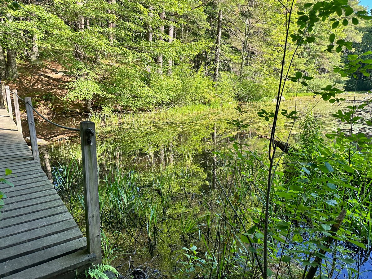 Adrienne Lain tweet media