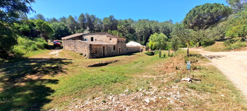 Vakapiupiu's tweet photo. Terreny calcari molt sec sempre, avui tot verd a 13 #juny2024 Riera de #Jafre , la Fassina i cocona del Pla de La Fita amb cagrossos @meteo_garraf @BDSitges https://t.co/iGR8y6sXGX