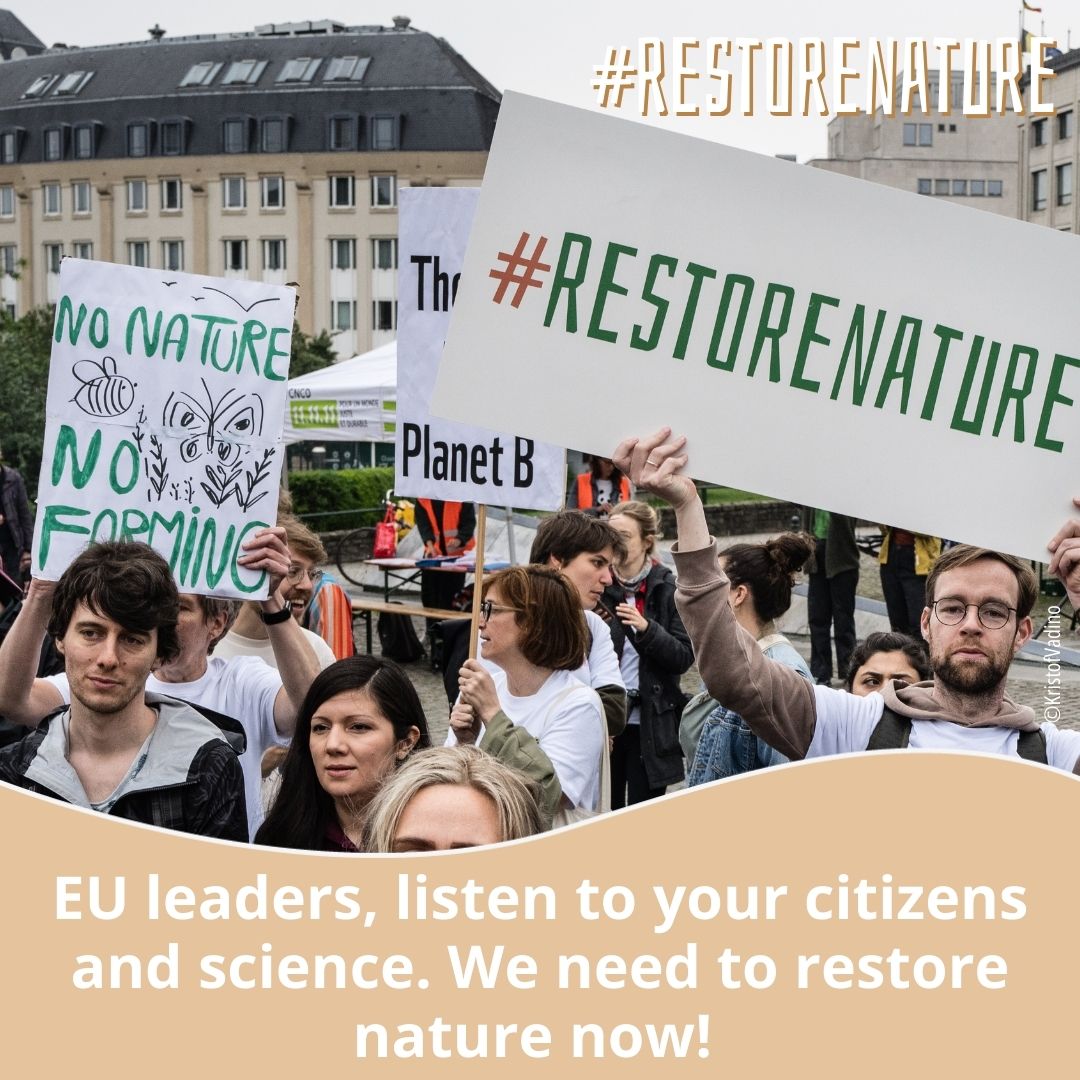 CIRF (@cirfcommunity) on Twitter photo 🌍 Over the past 40 years, Europe has warmed at twice the global rate.
⚠️ People's wellbeing and nature are at stake if we keep delaying the adoption of the nature package that benefits ecosystems, farmers and fishermen.
📣 <a href="/EUCouncil/">EU Council</a>, #RestoreNature NOW! 🌿 🌍 Over the past 40 years, Europe has warmed at twice the global rate.
⚠️ People's wellbeing and nature are at stake if we keep delaying the adoption of the nature package that benefits ecosystems, farmers and fishermen.
📣 <a href="/EUCouncil/">EU Council</a>, #RestoreNature NOW! 🌿