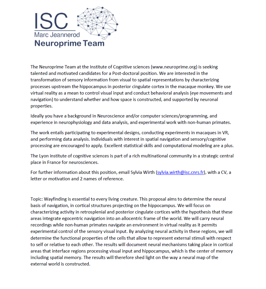 ** ! ! HIRING ! ! ** The Neuroprime Team is looking for a post-doctoral researcher to work on spatial navigation in NHPs. Come work in our institute !   RT      #neuroscience  #postdoc