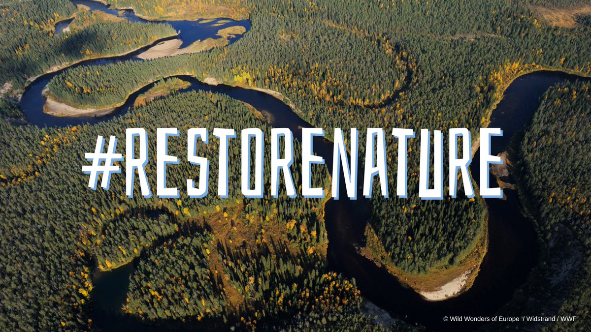 Wetlands International Europe (@wetlandseurope) on Twitter photo 🌍 Over the past 40 years, Europe has warmed at twice the global rate.
⚠️ People's wellbeing and wetlands are at stake if we keep delaying the adoption of the nature package that benefits ecosystems, farmers and fishers.
📣 <a href="/EUCouncil/">EU Council</a>, #RestoreNature NOW! 🌿 🌍 Over the past 40 years, Europe has warmed at twice the global rate.
⚠️ People's wellbeing and wetlands are at stake if we keep delaying the adoption of the nature package that benefits ecosystems, farmers and fishers.
📣 <a href="/EUCouncil/">EU Council</a>, #RestoreNature NOW! 🌿