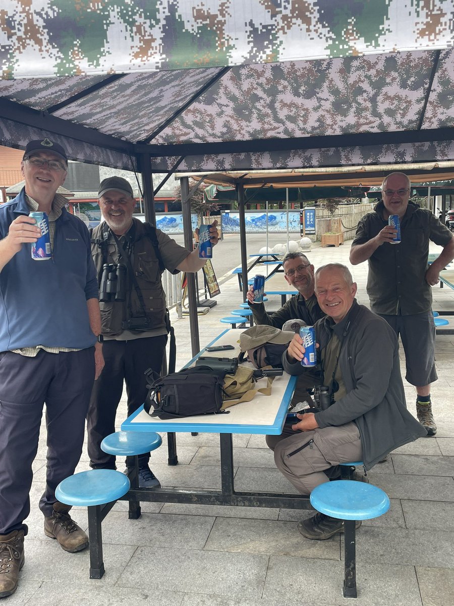 MalleyAndrew's tweet image. Sichuan. Excellent trip so far, Red Panda, Firethroat and much more. Golden Bush Robin and Fulvous Parrotbill.@AddeyNick