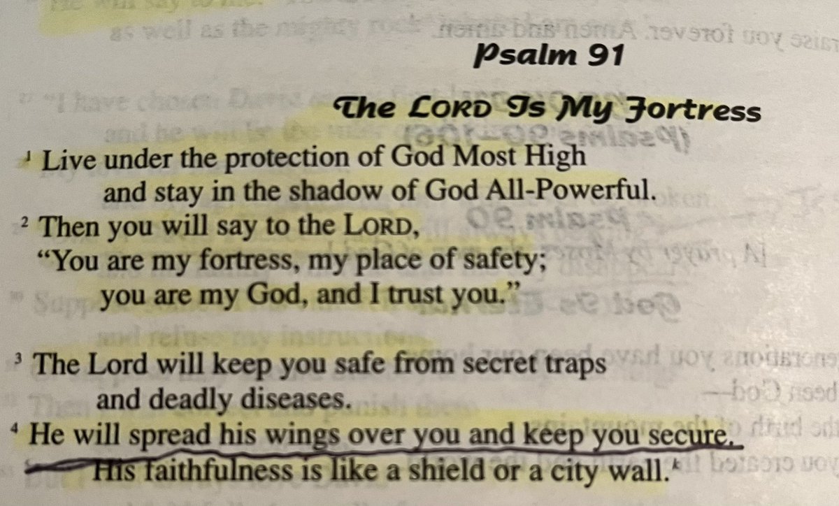 Brian Garrison tweet media