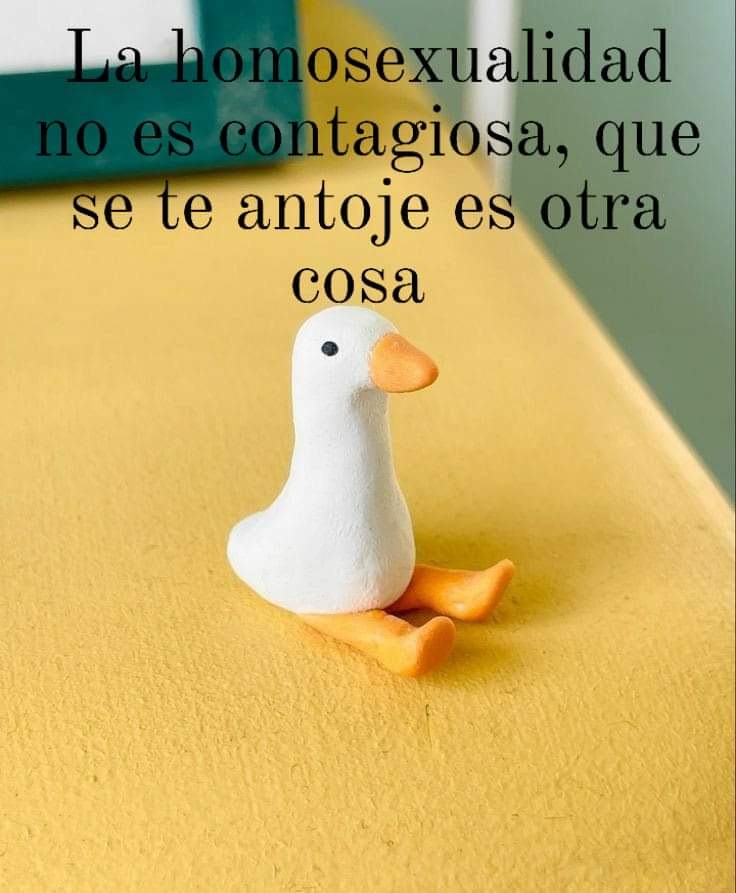 Junio de J...ódanse homofobicos!