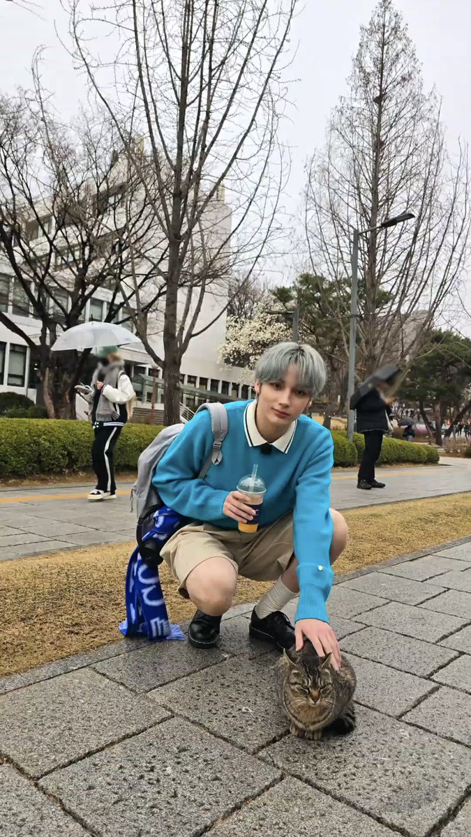 sorbetxt's tweet photo. 고양이랑 휴냥이♥ https://t.co/EvNvqb1uw7