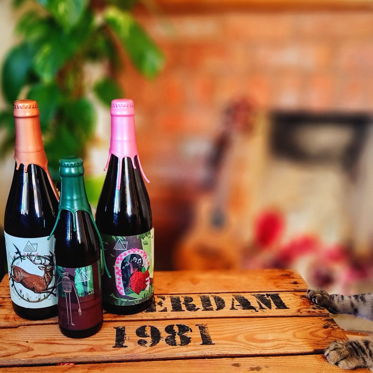 Wander Beyond Brewing tweet media