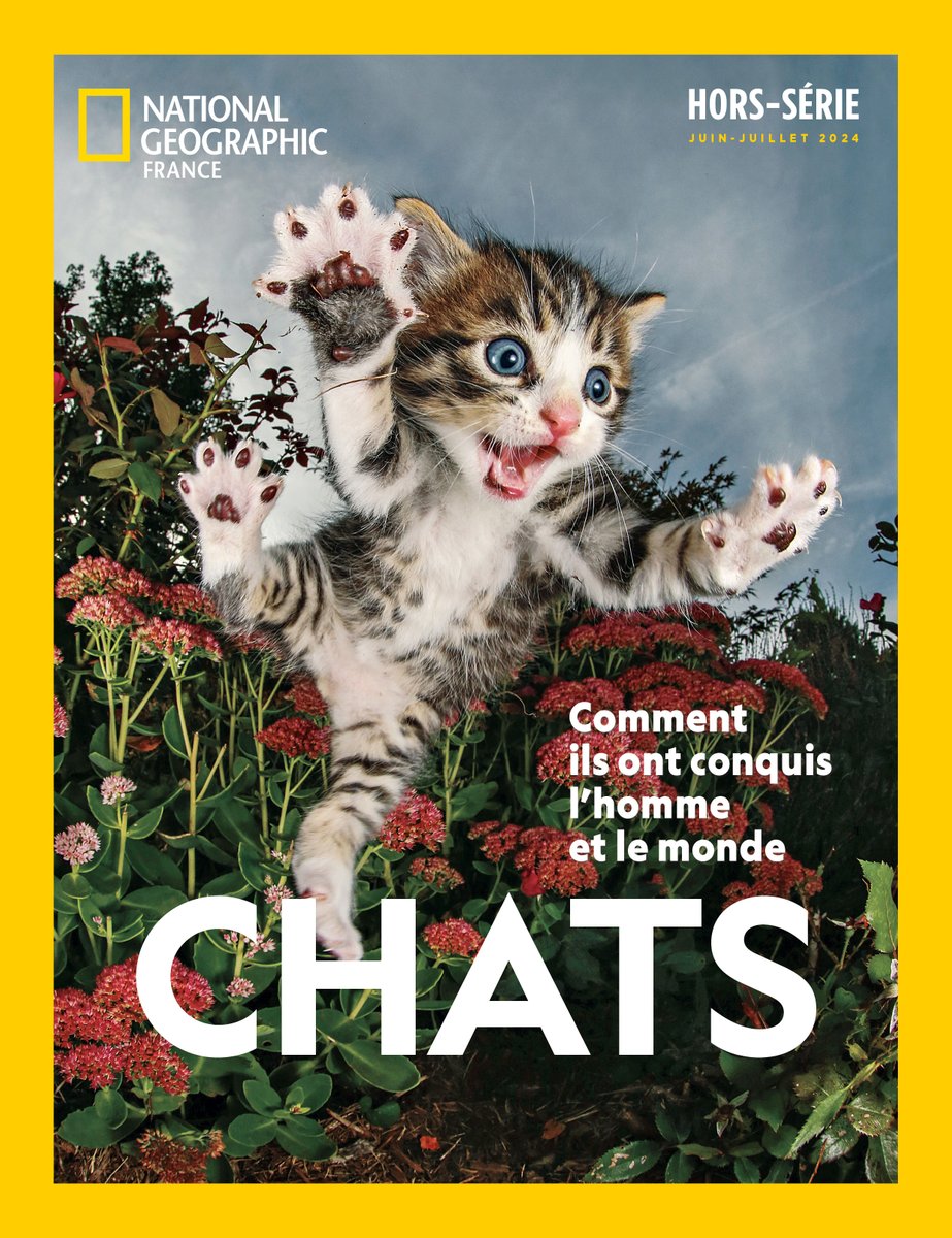 #CONCOURS
Chaaaaaaaat devant ! Le plus irrésistible des félins est à l'honneur dans notre nouveau hors-série. Découvrez comment nous l'avons adopté et domestiqué... à moins que ce ne soit l'inverse 😸

Dites-nous en commentaire de ce post comment s'appelle votre chat pour tenter