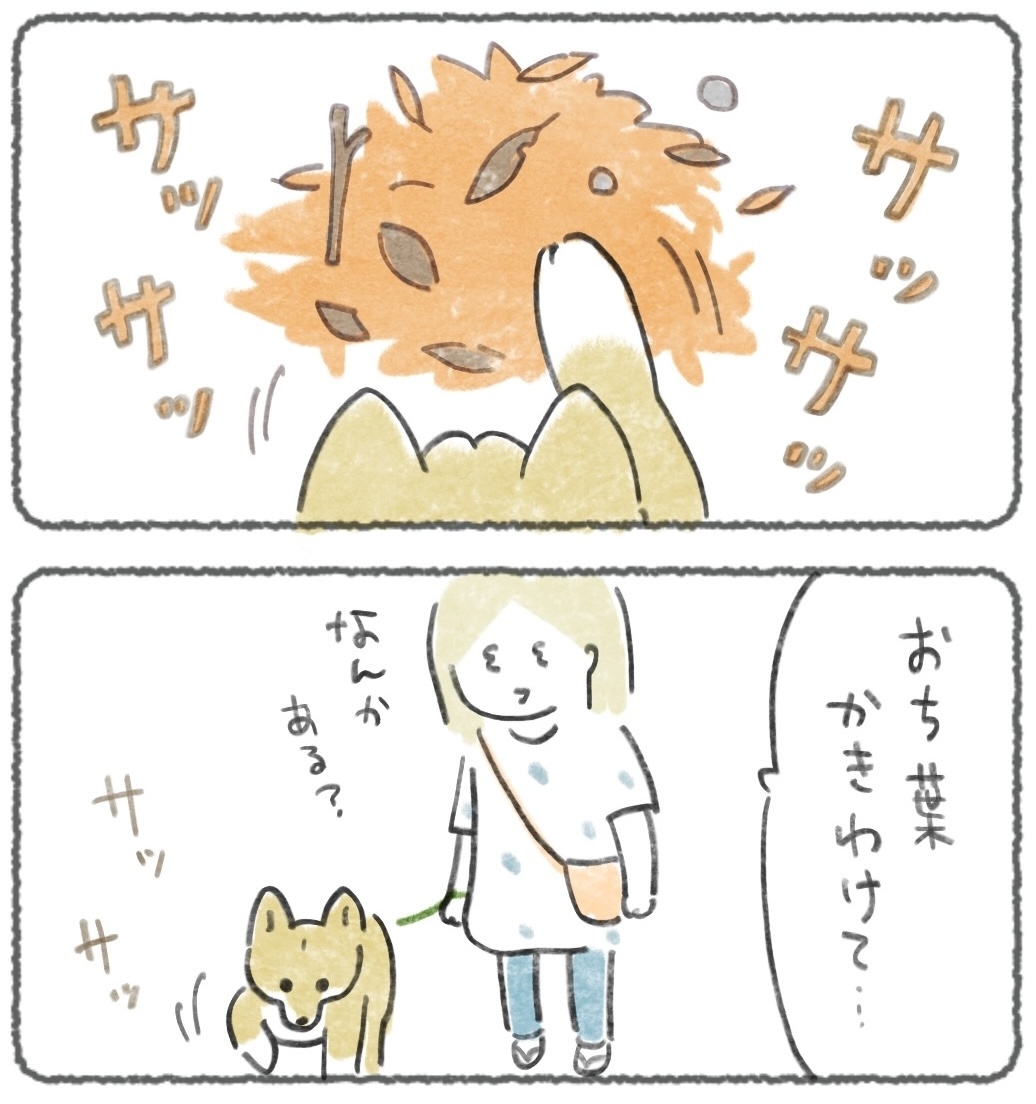 今週の犬マンガだよ〜🐕🍂

落ち葉にかけよって何かと思った😄

ここから読めます↓
https://t.co/E5t0XKjc4d 