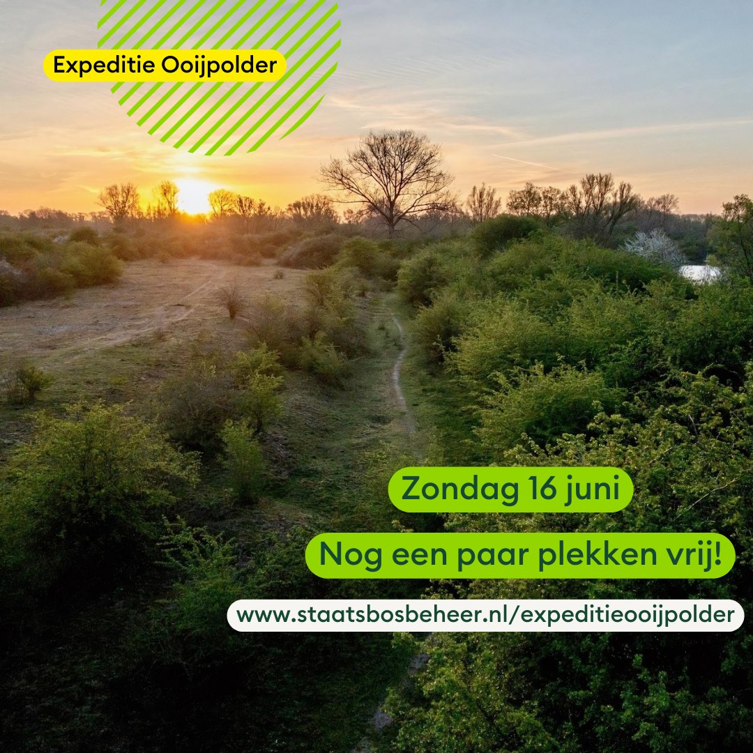 Staatsbosbeheer Rivierengebied Oost tweet media