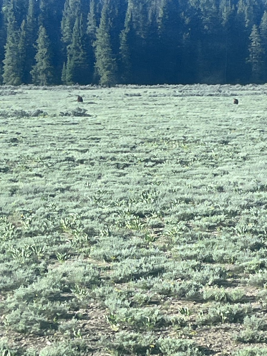 Matt Kuensting tweet media