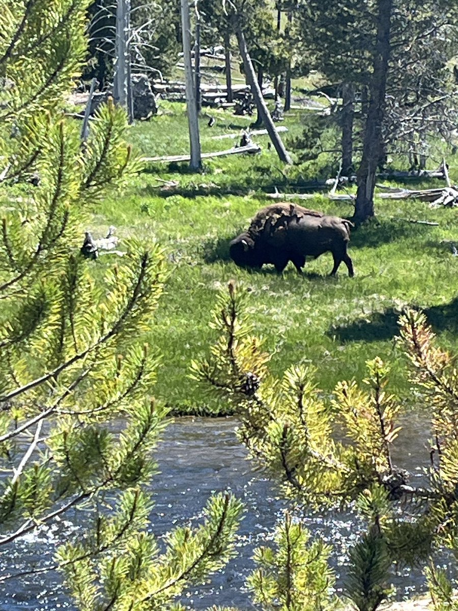 Matt Kuensting tweet media