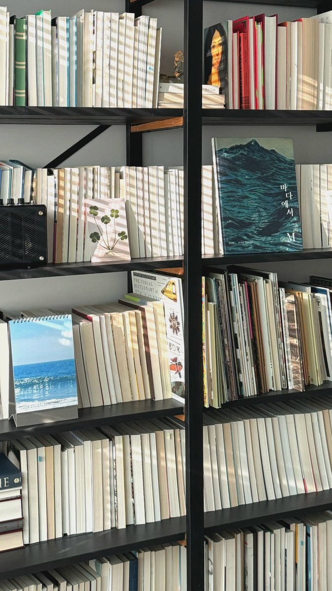 나이는 내가 흘려보낸 여름의 숫자