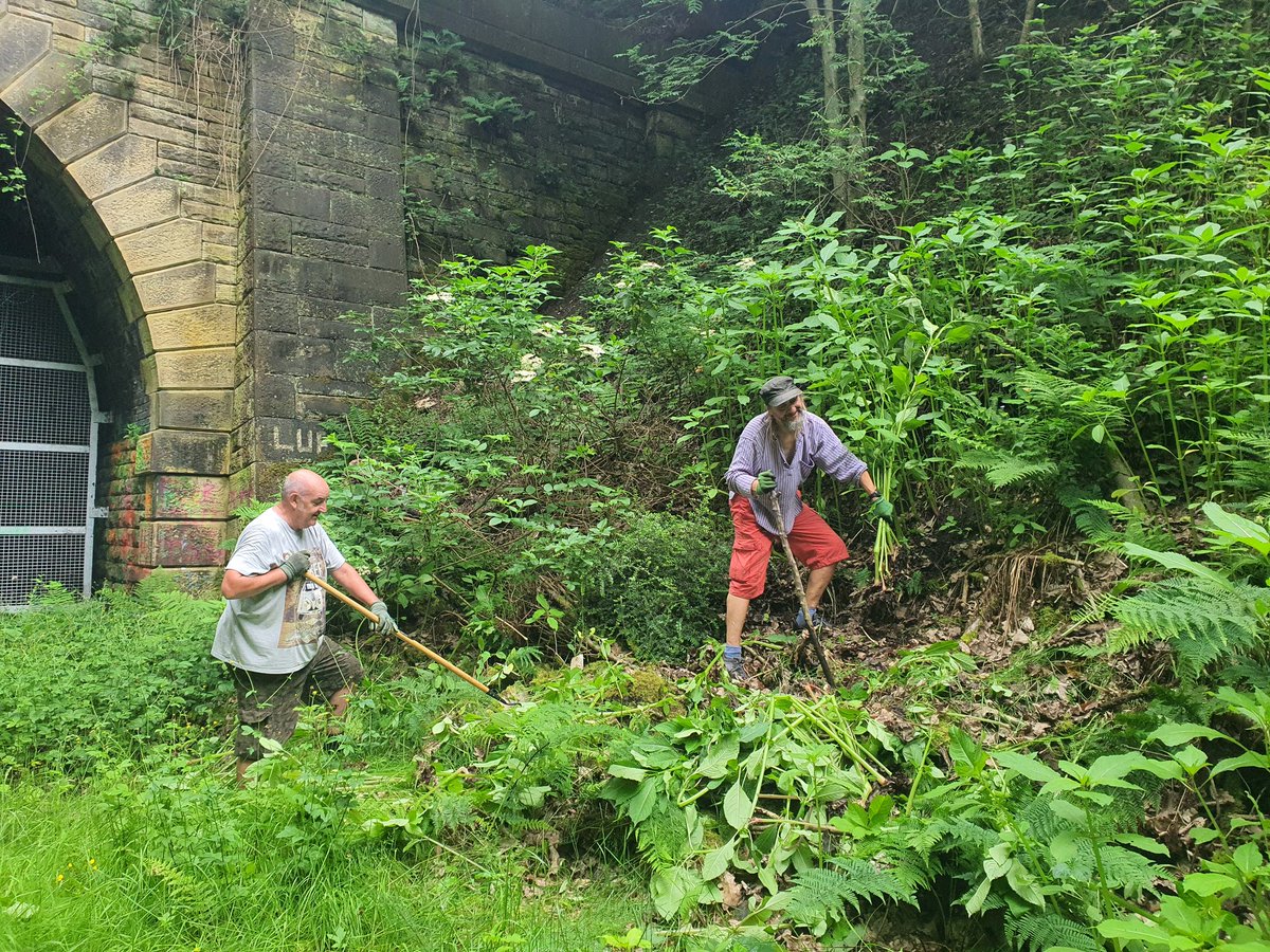 Balsam bashing. We are organising a Balsam bash meeting 10.00a.m. at the Fox &amp; Grapes,  Smalewell Rd, Pudsey, LS28 8HU on Saturday 6th July. Bring a hoe.
