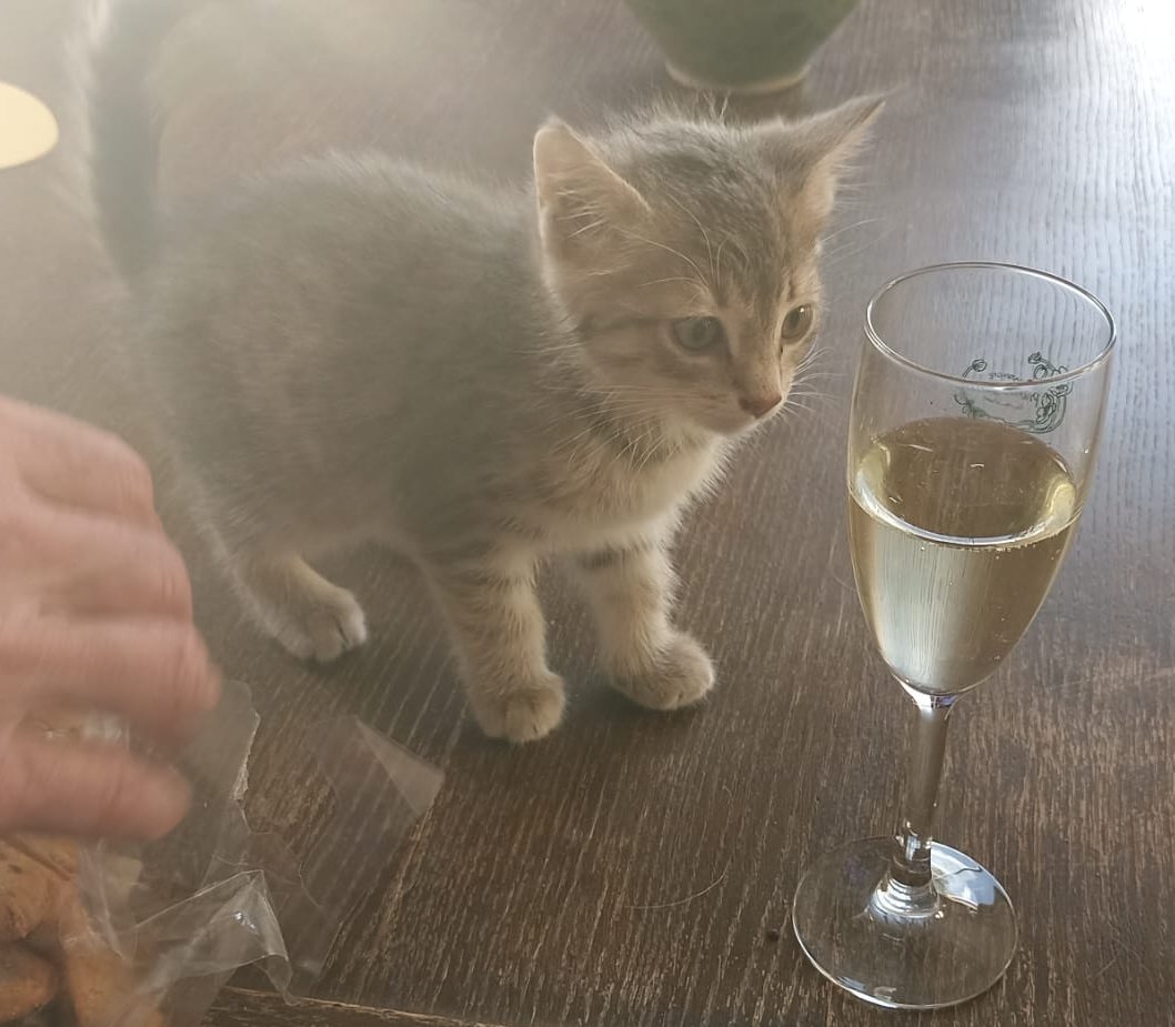 Supperiority tweet media