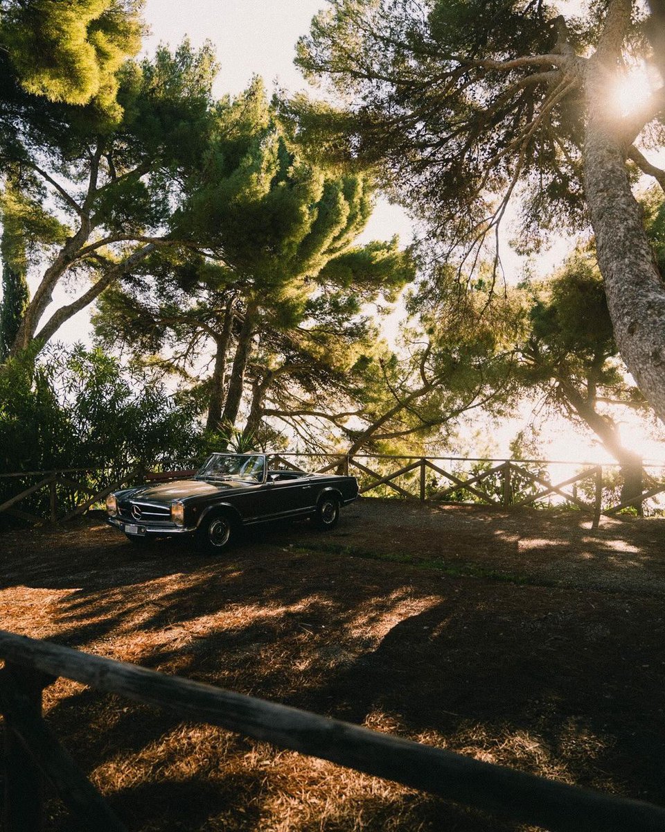MercedesBenzInd's tweet photo. Escape to the place you love in the timeless Mercedes-Benz 280 SL. Here’s to celebrating the enduring elegance of the #280SL, a true icon in automotive history. 

📷 @amaertens 
 
#MercedesBenzIndia #ThrowbackThursday https://t.co/Rm9CsXoR5G