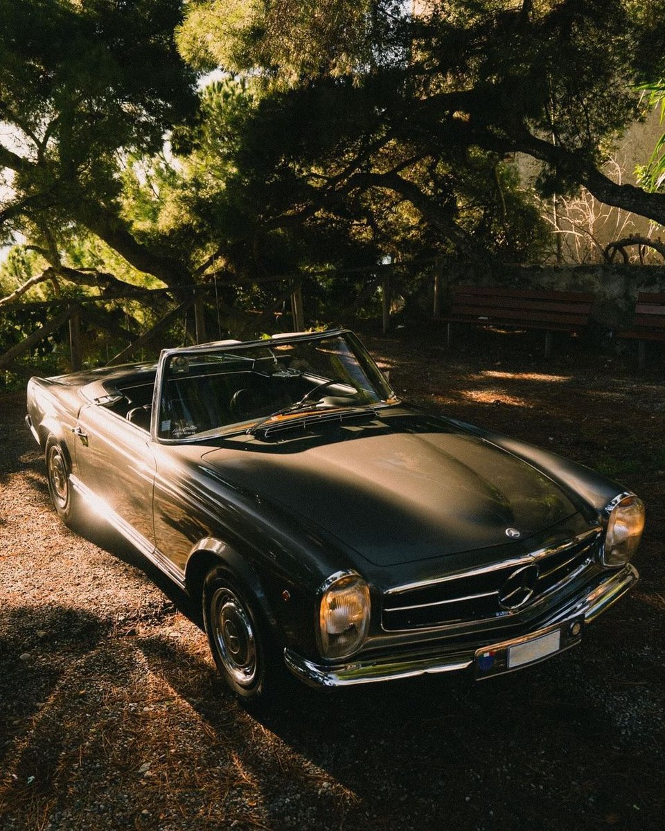 MercedesBenzInd's tweet photo. Escape to the place you love in the timeless Mercedes-Benz 280 SL. Here’s to celebrating the enduring elegance of the #280SL, a true icon in automotive history. 

📷 @amaertens 
 
#MercedesBenzIndia #ThrowbackThursday https://t.co/Rm9CsXoR5G
