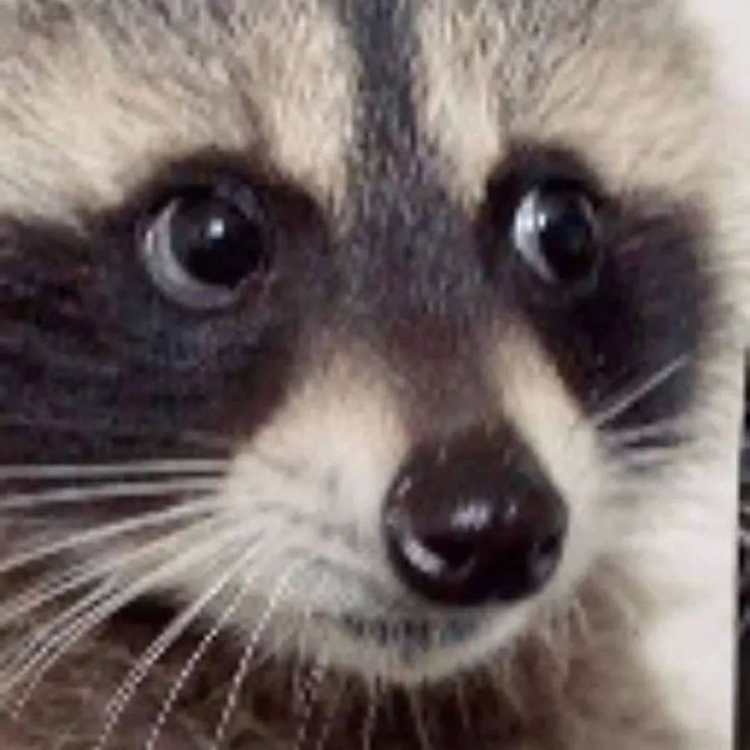 Bitepalapp's tweet image. Omg, it's Thursday and I'm tired like Friday 🫠