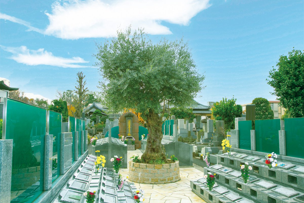 olivehikari's tweet photo. 『永代区画』は一般墓のように使用できる大変珍しい樹木葬墓地。
一家ごとに専用の花立、お線香皿付き。堀ノ内斎場から徒歩1分。

【管理費不要】

《資料請求・見学予約》        
https://t.co/JQEGrS73pf         

《ラインで簡単お問い合わせ》        
https://t.co/hWWDfW0t2R https://t.co/gGO2hsFenB