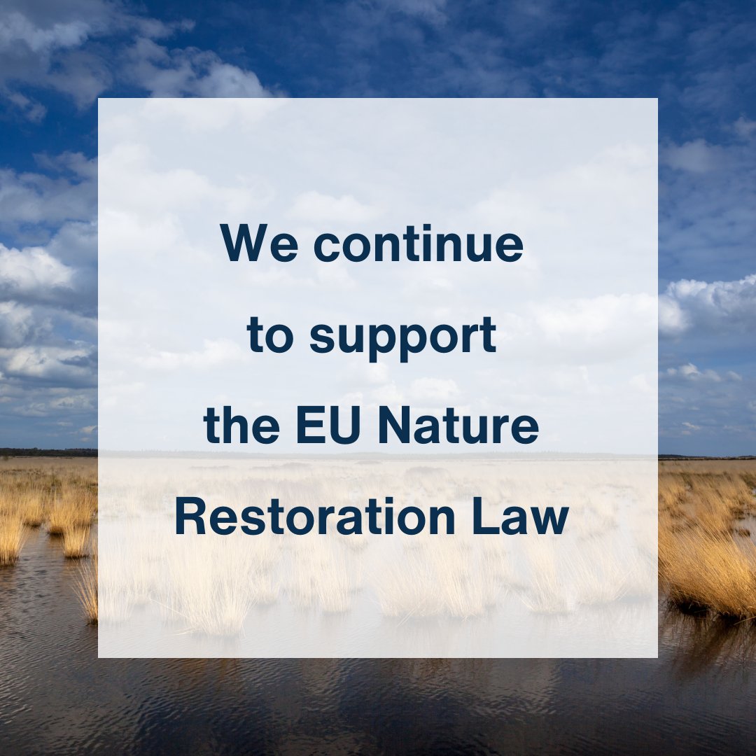 NZERO Organic Formulas tweet media