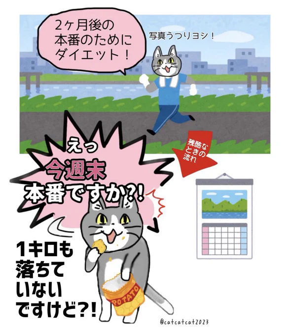 同じバグを繰り返す猫。 