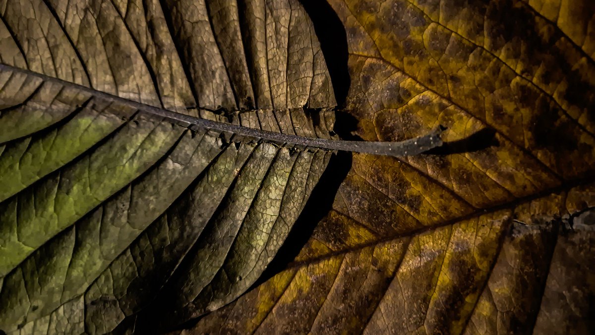 Thursday 13 June 2024