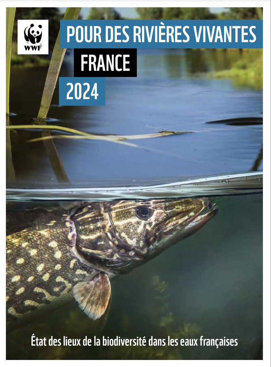 Le #WWF vient de publier un état des lieux de la biodiversité dans les eaux françaises.💧 
Les rivières jouent un rôle majeur dans l'approvisionnement en eau et en nourriture tout en offrant des services aussi précieux qu’irremplaçable.
👉 wwf.fr/sites/default/…