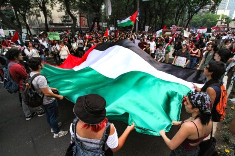 As genocide continues to unfold in #Gaza, leading to a shift in public opinion and stronger political action, we see the obliteration of Palestinian #foodsystems as a key part of the strategy. GRAIN reaffirms its solidarity &amp; commitment to the Palestinian people.