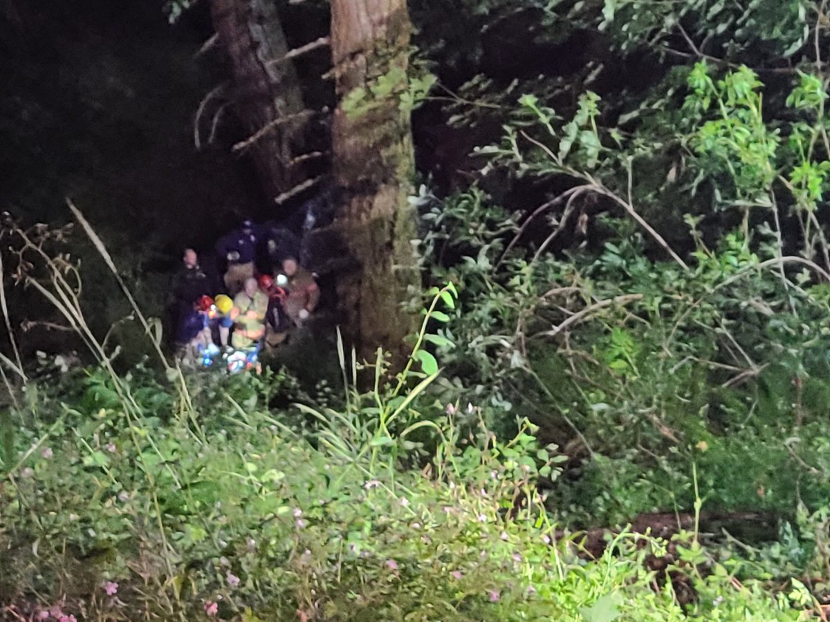 Corbett Fire tweet media