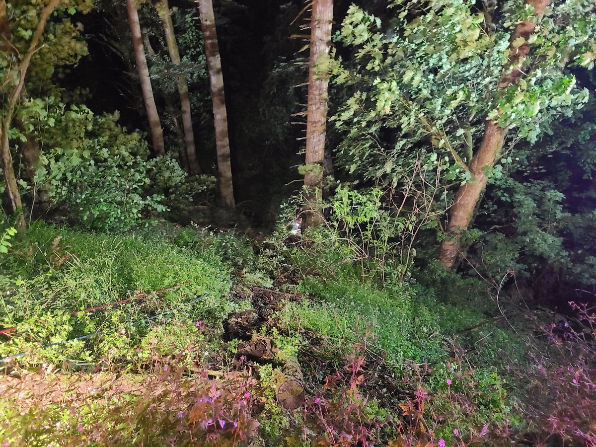 Corbett Fire tweet media